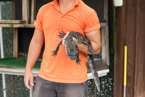 sara_kauss_photography_2064_everglades2_04012025