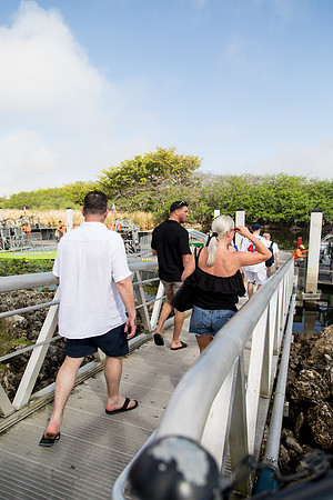 sara_kauss_photography_2127_everglades2_04012025