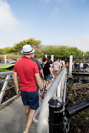 sara_kauss_photography_2132_everglades2_04012025