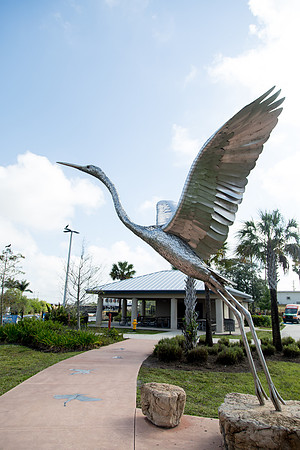 sara_kauss_photography_2198_everglades2_04012025