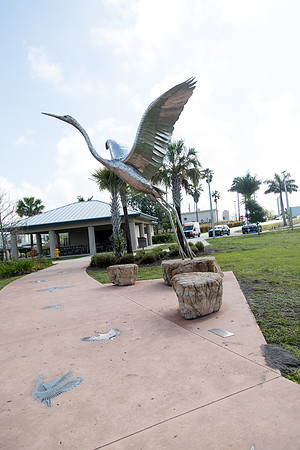 sara_kauss_photography_2205_everglades2_04012025