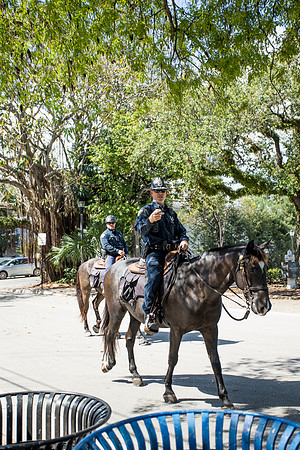 sara_kauss_photography_2269_segway2_04012025