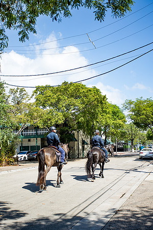 sara_kauss_photography_2272_segway2_04012025