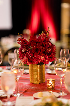 20250402_sara_Kauss_Photography_F69A2622