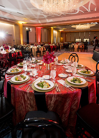 20250402_sara_Kauss_Photography_F69A2701