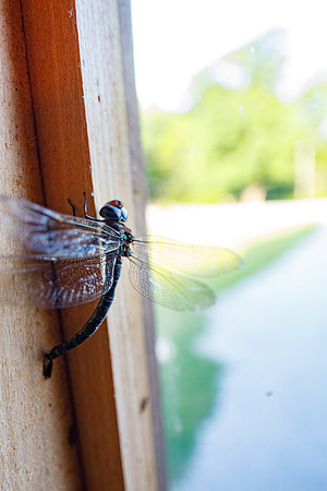 sara_kauss_photography_2266