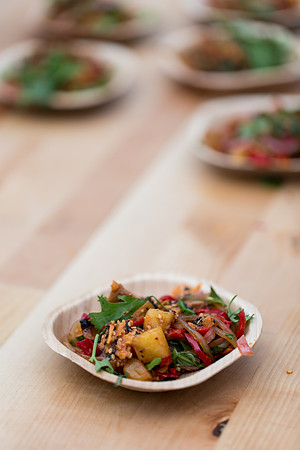 sara_kauss_photography_5277_fork_fire_HR