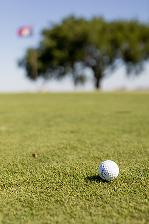 sara_kauss_photography_2875_golf