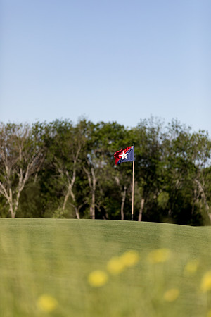 sara_kauss_photography_1796_golf_lr