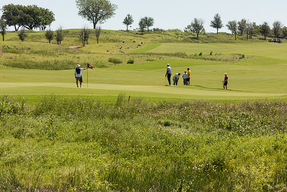 sara_kauss_photography_3153_golf_lr