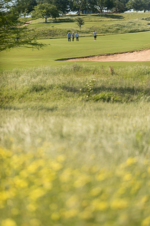 sara_kauss_photography_8291_golf_lr