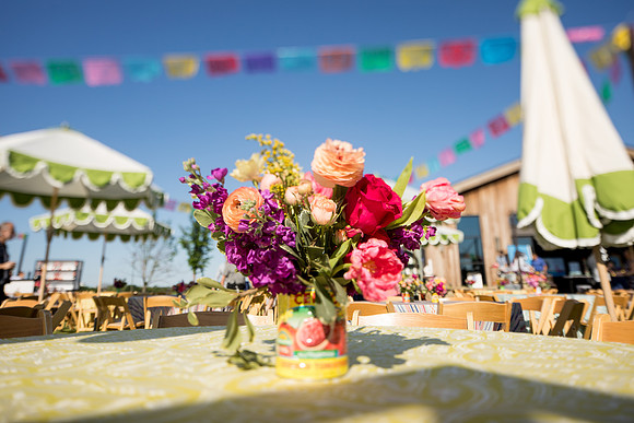 mariachi_sara_kauss_photography_0666_HR