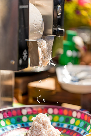 mariachi_sara_kauss_photography_1653_HR