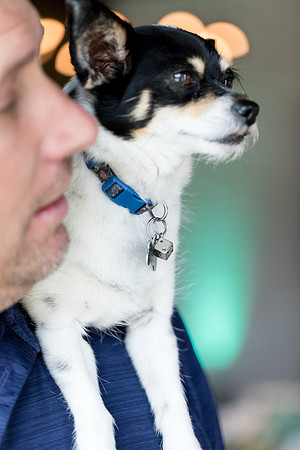 sara_kauss_photography_5563_masters_taste