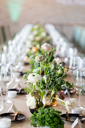 sara_kauss_photography_5584_masters_taste