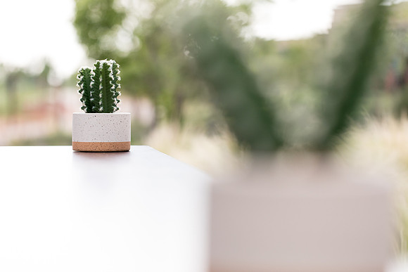 sara_kauss_photography_6039_masters_taste