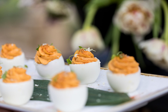 sara_kauss_photography_6092_masters_taste