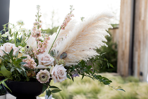sara_kauss_photography_6820_masters_taste