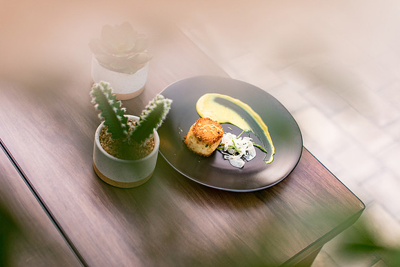 sara_kauss_photography_7834_masters_taste