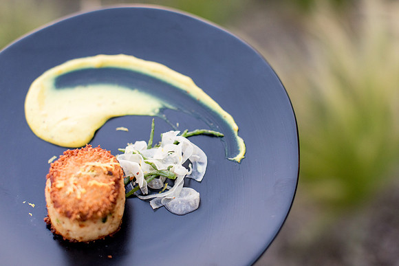 sara_kauss_photography_7854_masters_taste