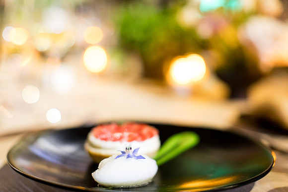 sara_kauss_photography_8415_masters_taste