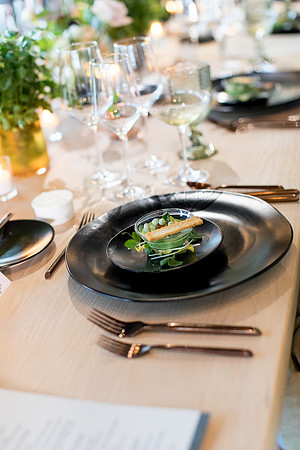 sara_kauss_photography_7651_masters_taste_LR