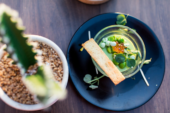 sara_kauss_photography_7696_masters_taste_LR