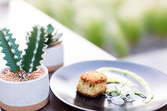 sara_kauss_photography_7842_masters_taste_LR