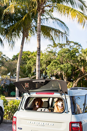 sara_kauss_photography_2723