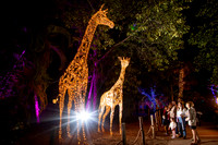 Zoo Lights 2026 Palm Beach Zoo
