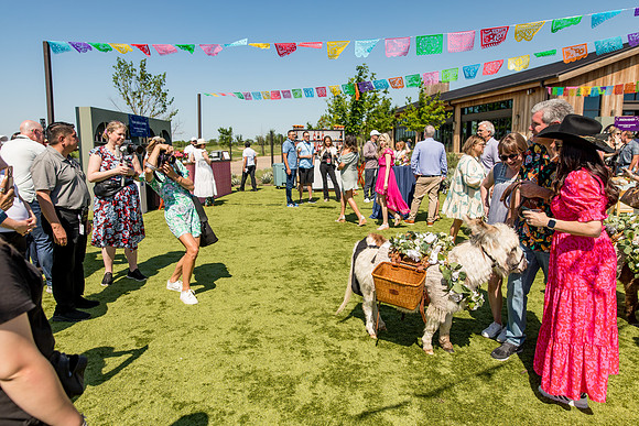 sara_kauss_photography_5643