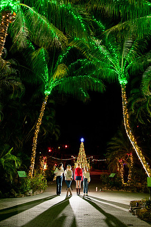 20260102_sara_kauss_photography_1983_HR