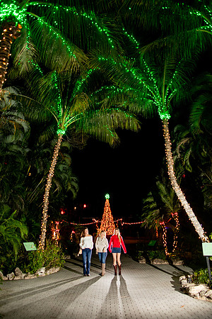 20260102_sara_kauss_photography_2003_HR