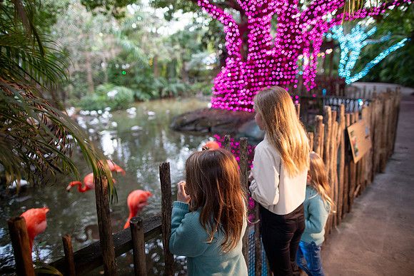 20260102_sara_kauss_photography_9317_HR