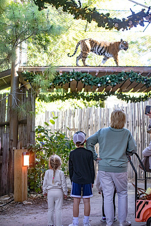 20260102_sara_kauss_photography_8569_HR
