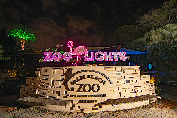 20260103_sara_kauss_photography_2058_HR