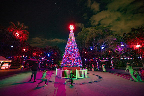 20260103_sara_kauss_photography_2091_HR