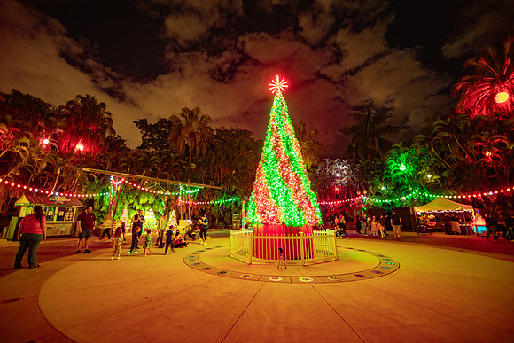 20260103_sara_kauss_photography_2440_HR