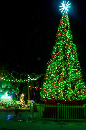 20260103_sara_kauss_photography_2944_HR
