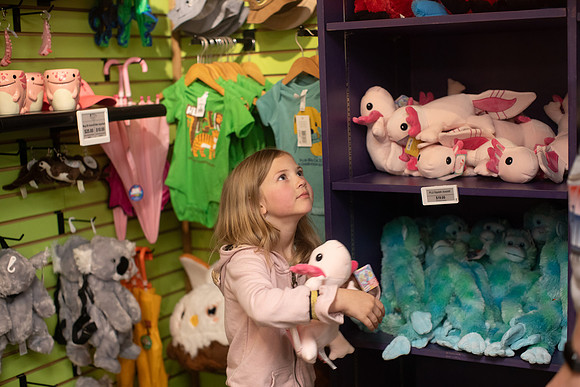 20260102_sara_kauss_photography_8531_HR