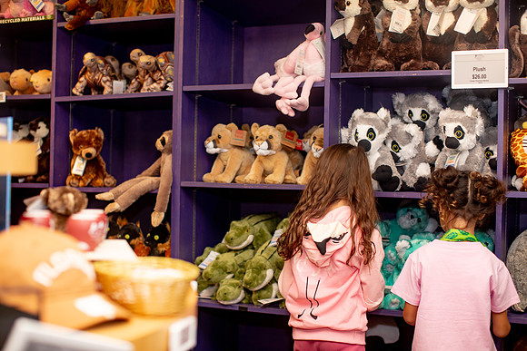 20260102_sara_kauss_photography_8610_HR