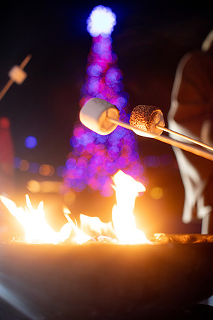 20260103_sara_kauss_photography_2289_HR