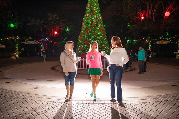 20260102_sara_kauss_photography_1357_HR