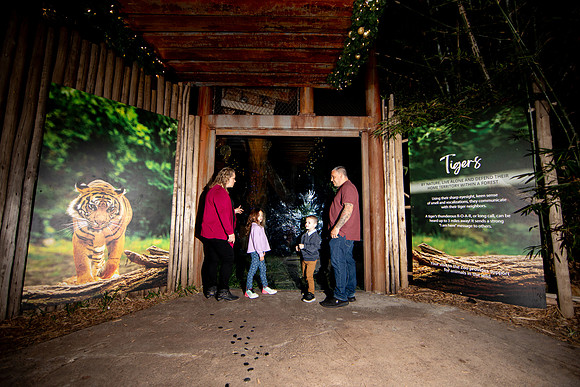 20260102_sara_kauss_photography_1078_HR