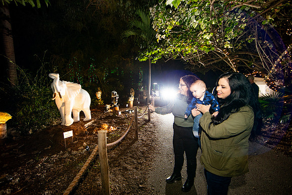 20260102_sara_kauss_photography_1162_HR