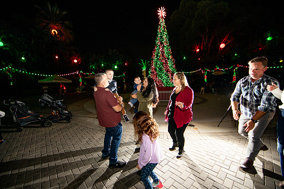 20260102_sara_kauss_photography_1236_HR