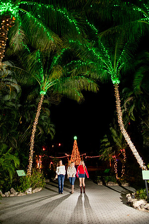 20260102_sara_kauss_photography_2003_HR