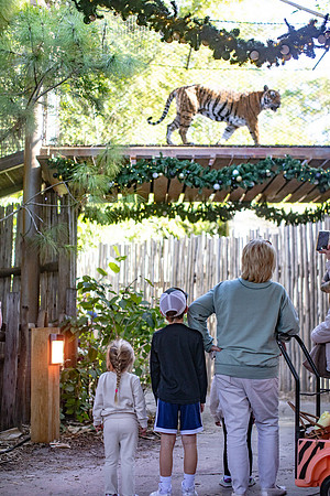 20260102_sara_kauss_photography_8569_HR