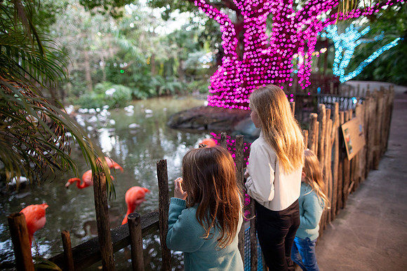 20260102_sara_kauss_photography_9317_HR