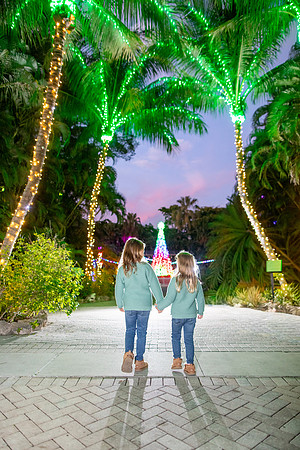20260102_sara_kauss_photography_9384_HR